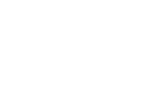 Liya Makina